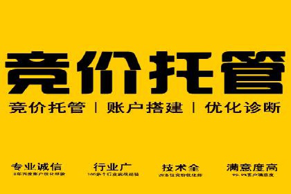 案例研究：竞价广告助力企业品牌升级